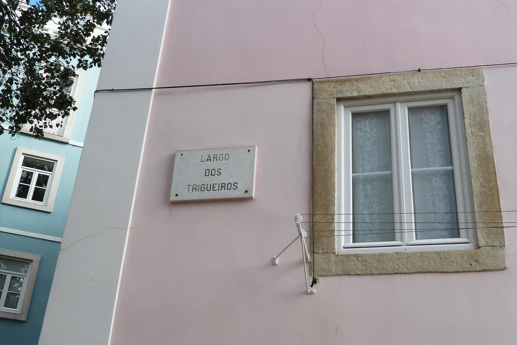 Apartament Dreaming Lisbon - Trigueiros Zewnętrze zdjęcie